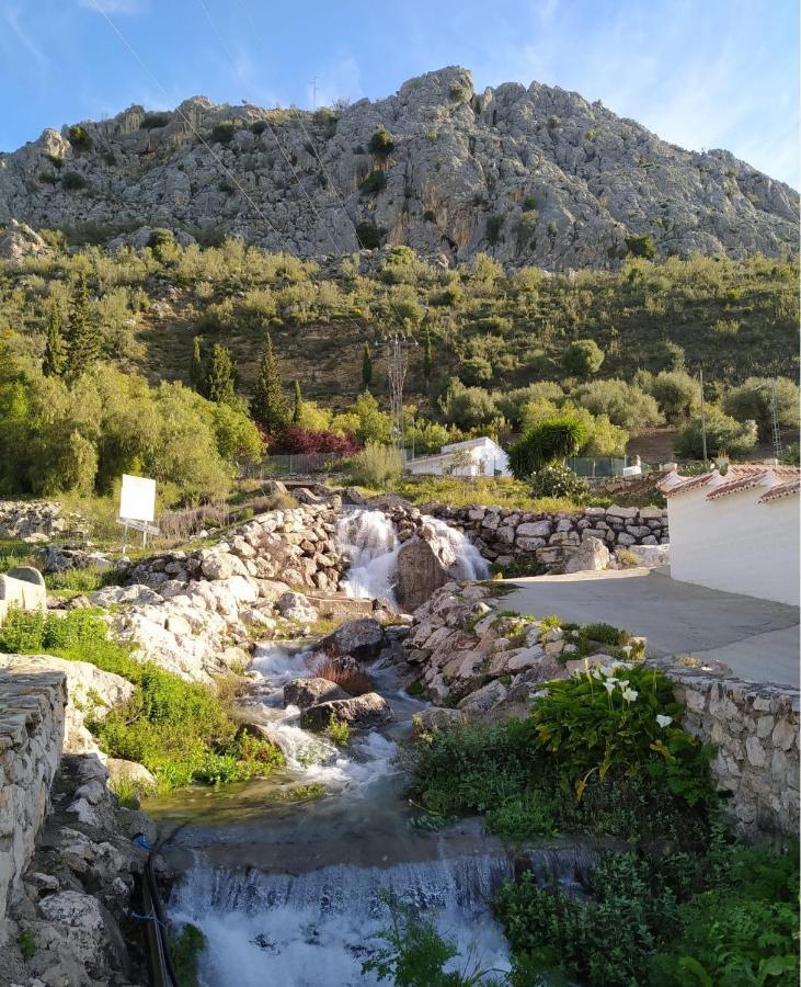 Casa De Los Alamos Periana Kültér fotó